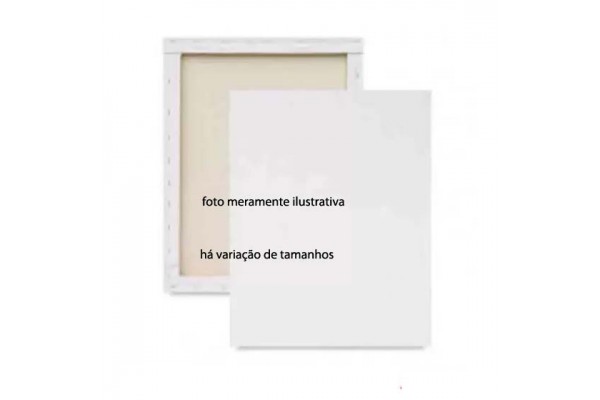 TELA PARA PINTURA MT 40X50